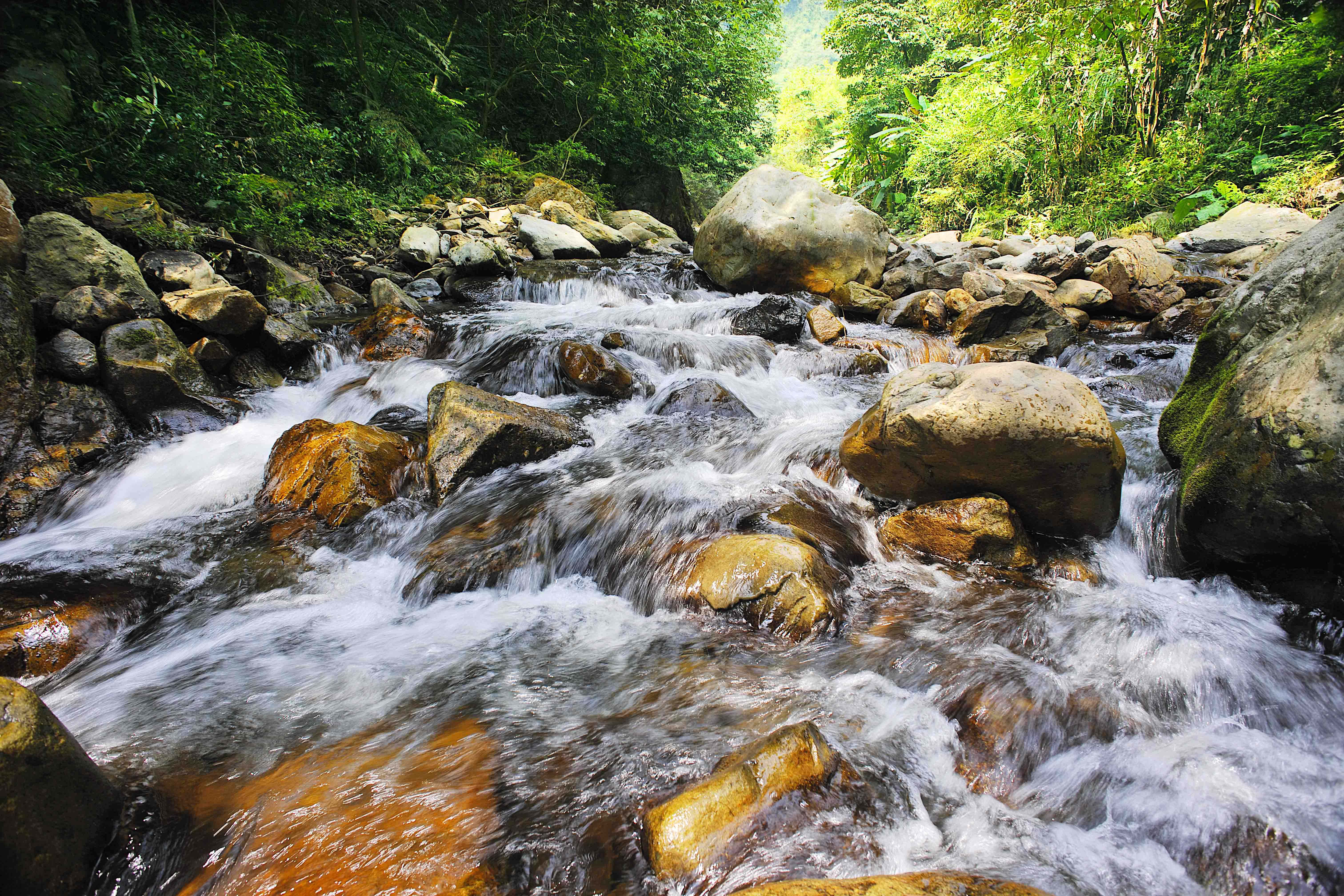 山泉水檢測