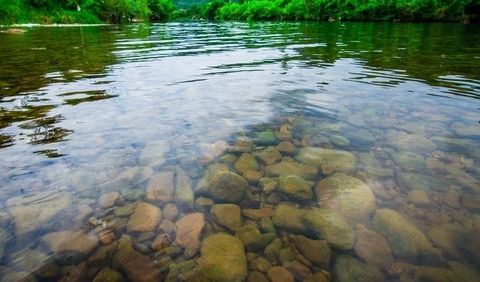 水質(zhì)的物理性檢測項(xiàng)目有哪些？